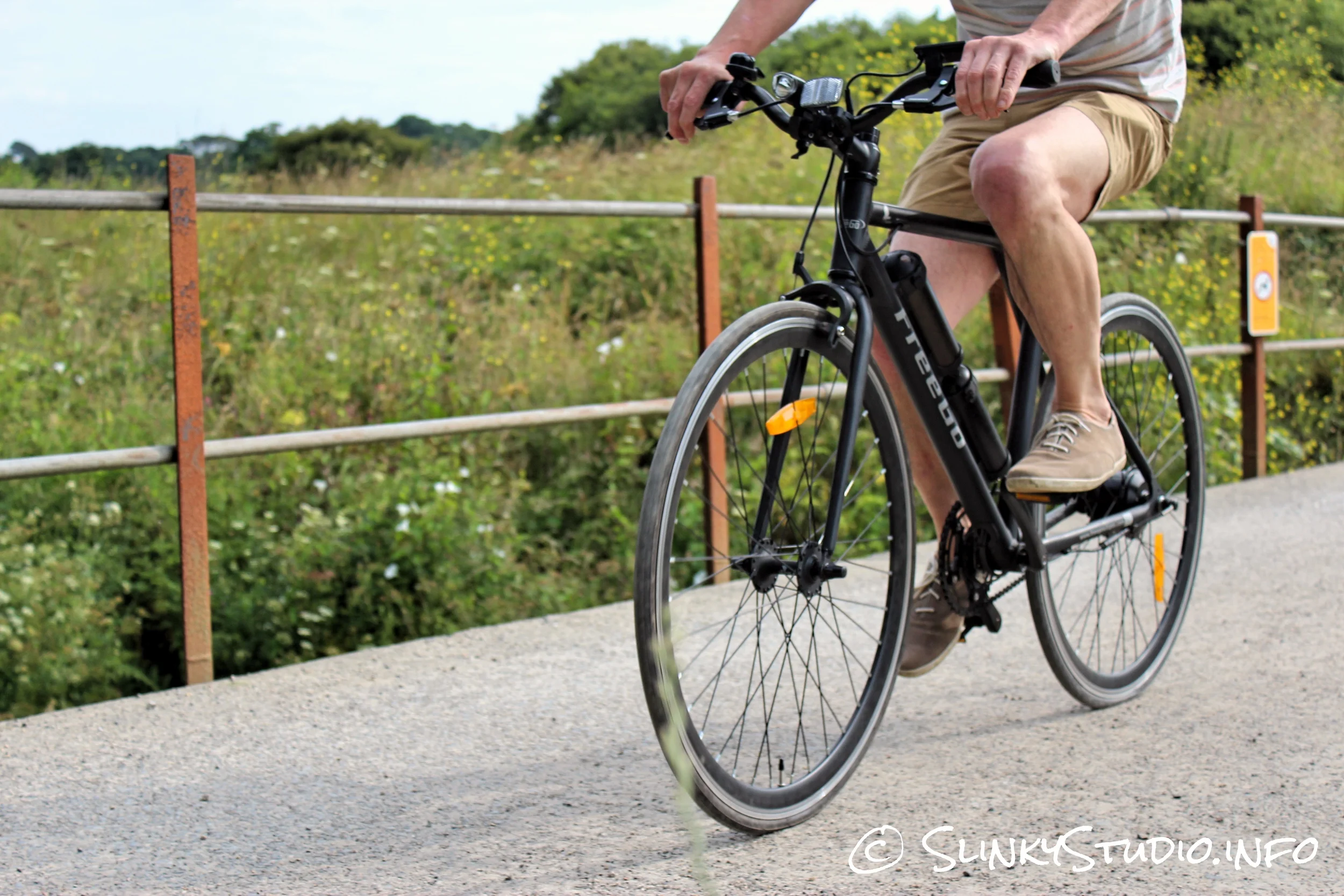 Freego electric bikes liquidation sale